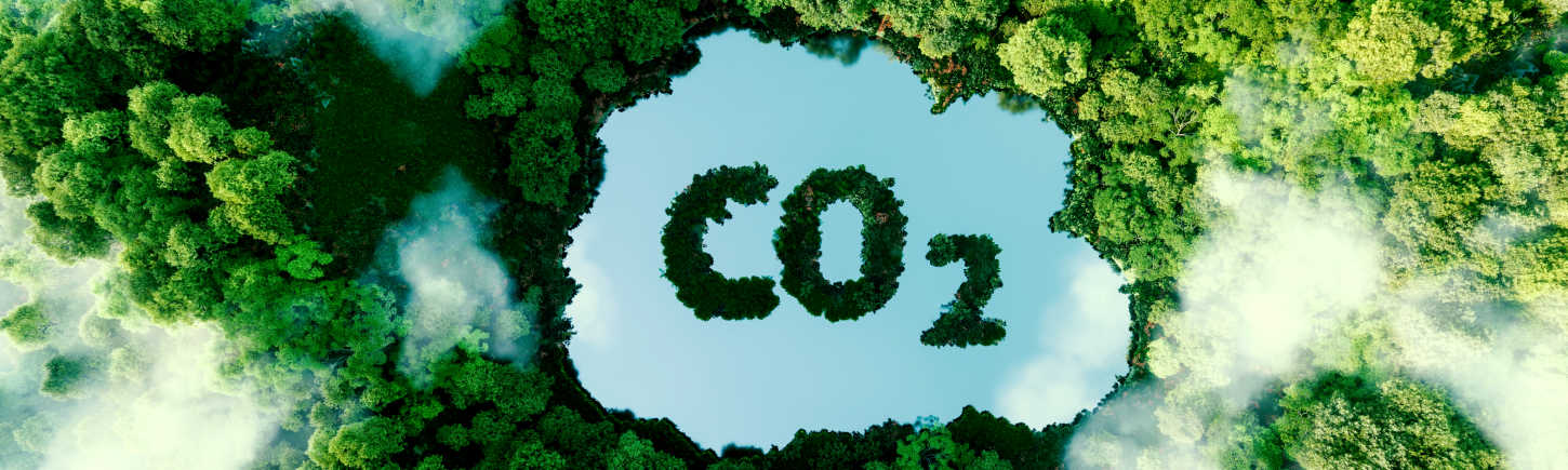 Co2 in trees