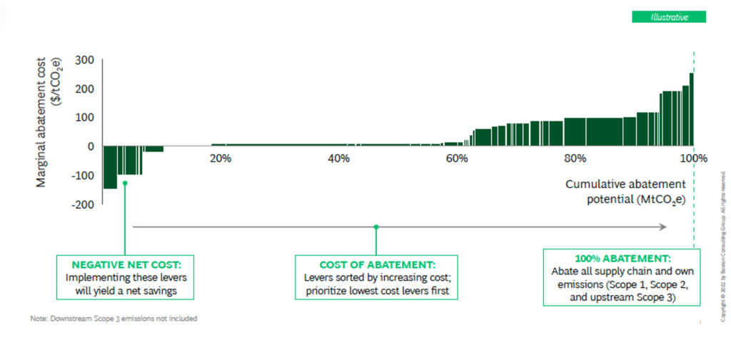 BCG sample cost curve with explanations of the x-axis