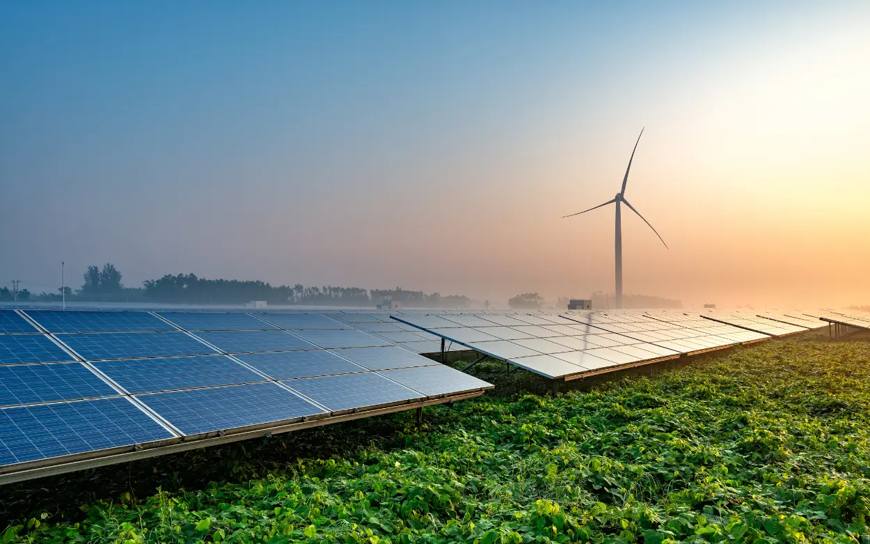 Explaining PPA Performance During Market Volatility