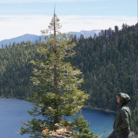 Nathan fun photo(527 x 527 px)