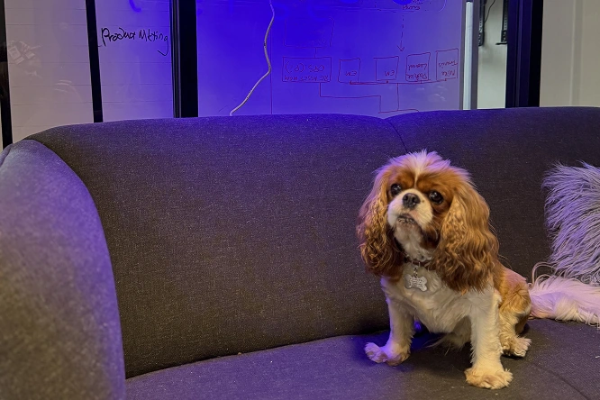 nico-sitting-on-couch