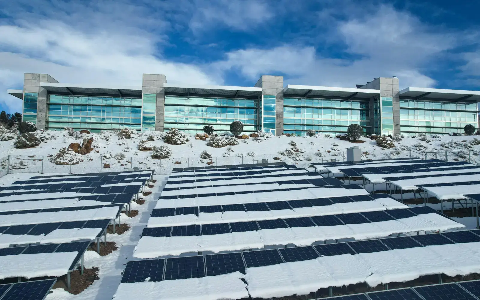 Beyond the Freeze: How Verse Customers Answer the Tough Questions About Winter Storm Fern